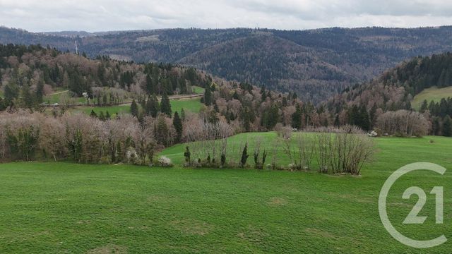 Maison &agrave; vendre - 10 pi&egrave;ces - 643 m2 - Charmauvillers - 25 - FRANCHE-COMTE