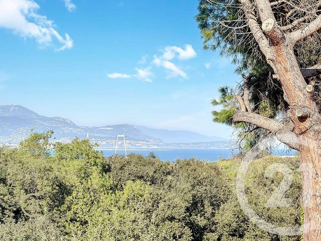 Maison à vendre - 9 pièces - 294,94 m2 - Antibes - 06 - PROVENCE-ALPES-COTE-D-AZUR