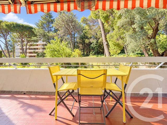 appartement - ANTIBES - 06