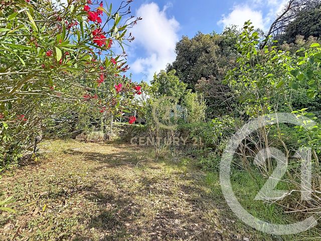 Maison &agrave; vendre - 4 pi&egrave;ces - 105,05 m2 - Biot - 06 - PROVENCE-ALPES-COTE-D-AZUR