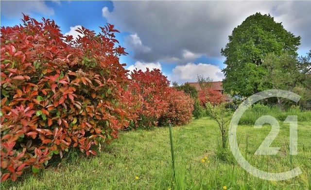 Terrain &agrave; vendre - 872 m2 - Feigeres - 74 - RHONE-ALPES