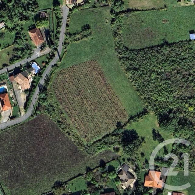 Terrain &agrave; vendre - 2793 m2 - Albi - 81 - MIDI-PYRENEES