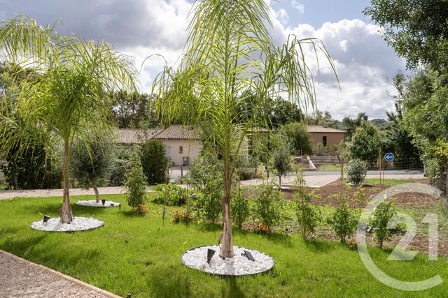 Maison à vendre - 4 pièces - 118 m2 - Ste Croix - 81 - MIDI-PYRENEES