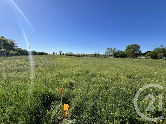 Terrain &agrave; vendre - 1400 m2 - Ste Croix - 81 - MIDI-PYRENEES