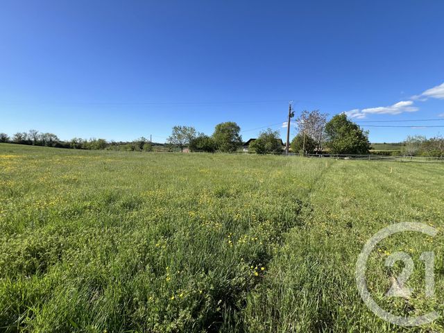 Terrain &agrave; vendre - 1400 m2 - Ste Croix - 81 - MIDI-PYRENEES
