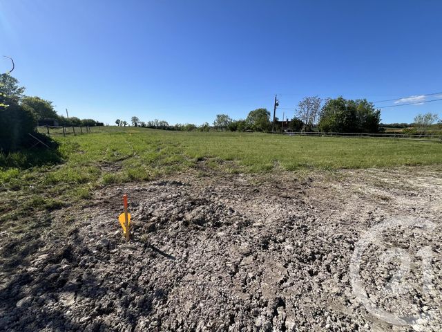 Terrain &agrave; vendre - 700 m2 - Ste Croix - 81 - MIDI-PYRENEES