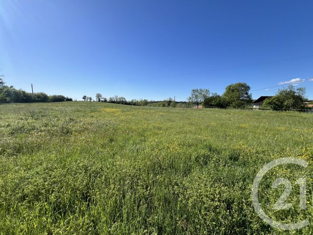 Terrain &agrave; vendre - 700 m2 - Ste Croix - 81 - MIDI-PYRENEES