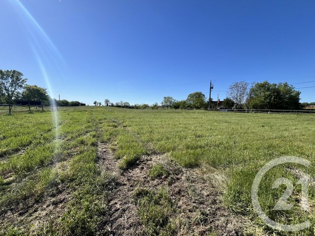 Terrain &agrave; vendre - 700 m2 - Ste Croix - 81 - MIDI-PYRENEES