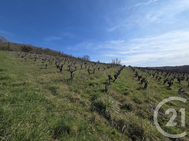 Terrain &agrave; vendre - 1153 m2 - Albi - 81 - MIDI-PYRENEES