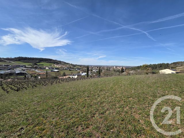 Terrain &agrave; vendre - 1153 m2 - Albi - 81 - MIDI-PYRENEES