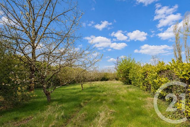 Maison &agrave; vendre - 4 pi&egrave;ces - 177 m2 - Cambon D Albi - 81 - MIDI-PYRENEES