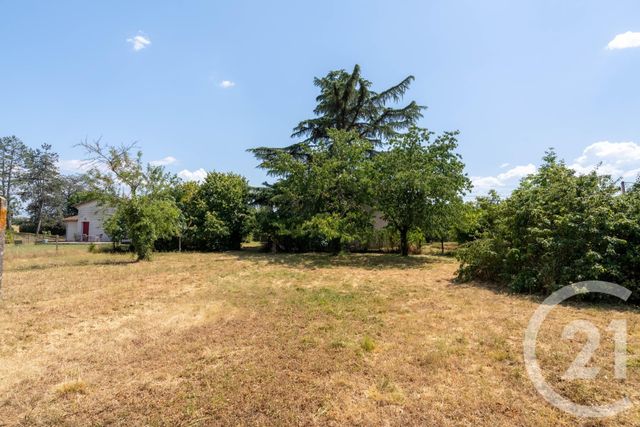 Maison &agrave; vendre - 5 pi&egrave;ces - 170 m2 - Albi - 81 - MIDI-PYRENEES