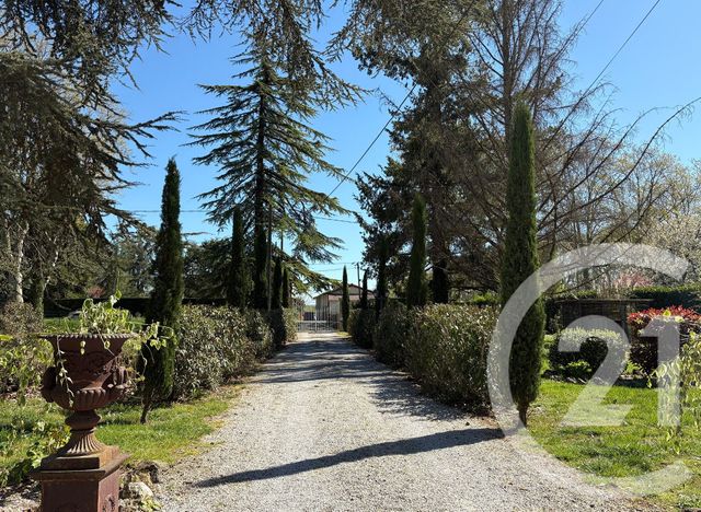 Maison &agrave; vendre - 14 pi&egrave;ces - 304 m2 - Lisle Sur Tarn - 81 - MIDI-PYRENEES