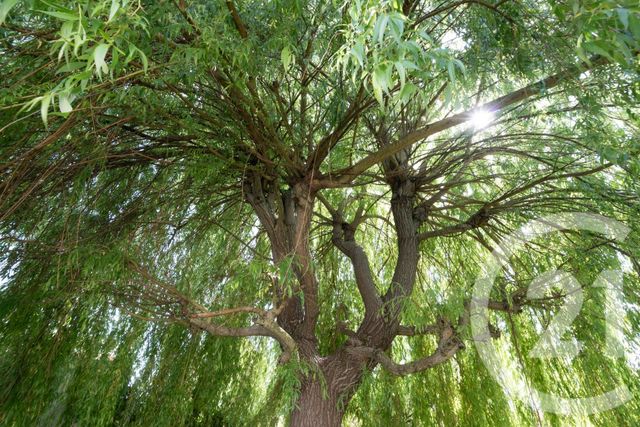 Maison &agrave; vendre - 4 pi&egrave;ces - 83 m2 - Lescure D Albigeois - 81 - MIDI-PYRENEES