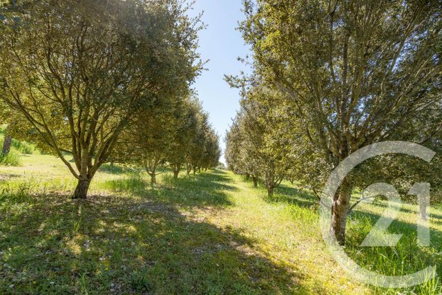 Maison &agrave; vendre - 12 pi&egrave;ces - 399,30 m2 - Cagnac Les Mines - 81 - MIDI-PYRENEES