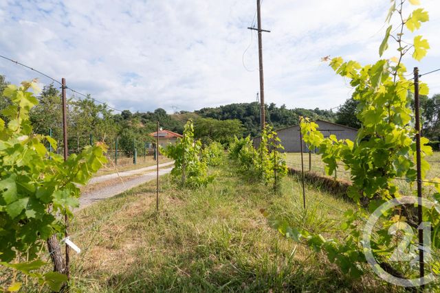 Maison &agrave; vendre - 4 pi&egrave;ces - 145 m2 - Albi - 81 - MIDI-PYRENEES