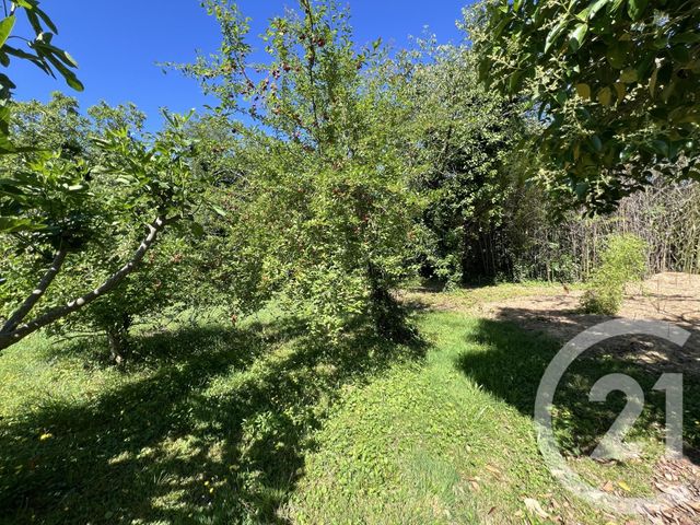Terrain &agrave; vendre - 3036 m2 - Albi - 81 - MIDI-PYRENEES