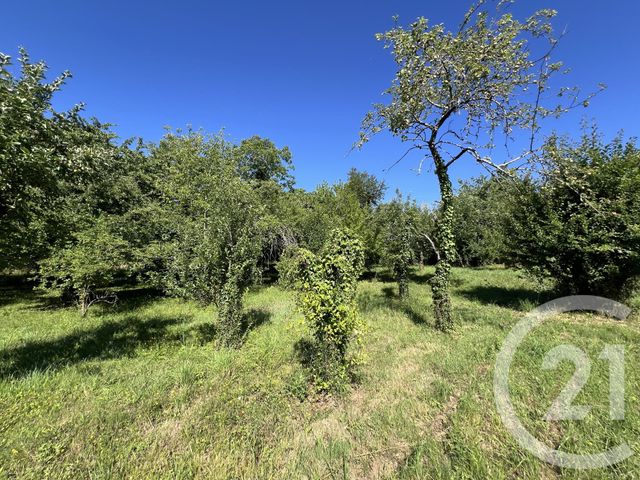 Terrain &agrave; vendre - 3036 m2 - Albi - 81 - MIDI-PYRENEES