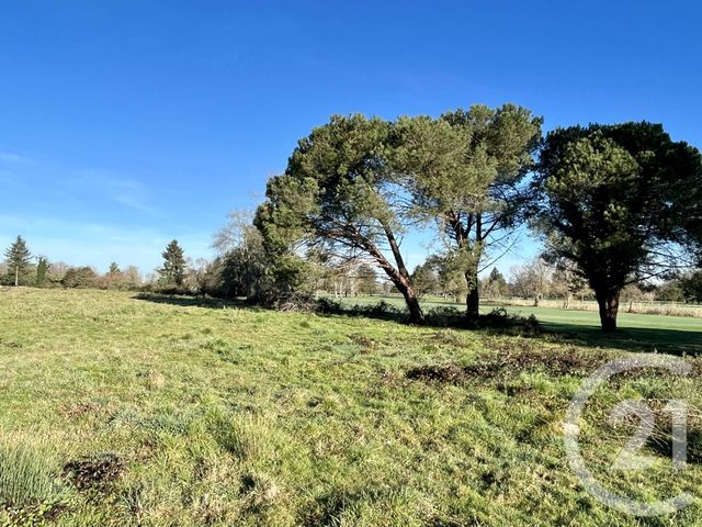 Terrain &agrave; vendre - 835 m2 - Artiguelouve - 64 - AQUITAINE