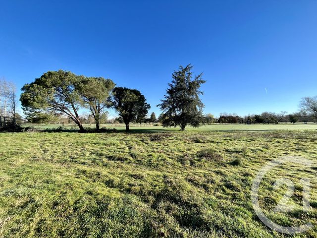 Terrain &agrave; vendre - 835 m2 - Artiguelouve - 64 - AQUITAINE