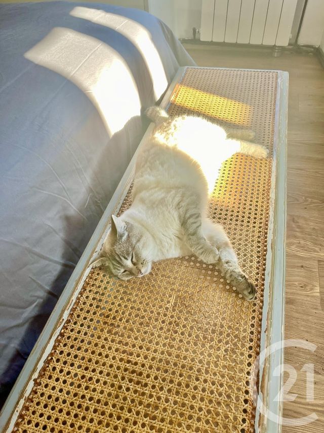 Maison à vendre - 5 pièces - 126,72 m2 - Lasseube - 64 - AQUITAINE