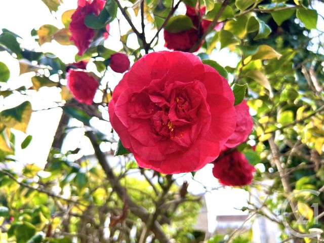 Immeuble &agrave; vendre - 900 m2 - Pau - 64 - AQUITAINE