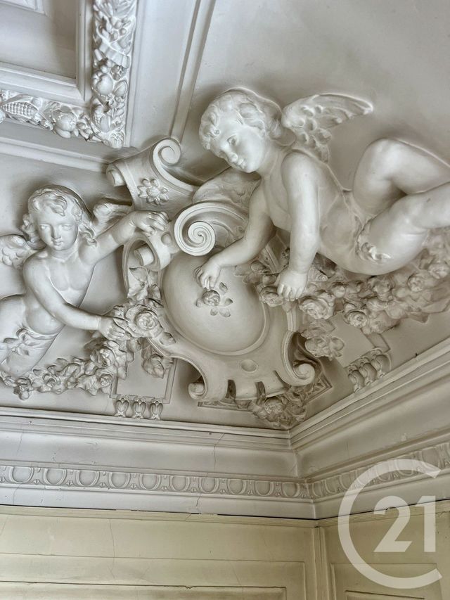 Appartement Duplex à vendre - 7 pièces - 301 m2 - Pau - 64 - AQUITAINE