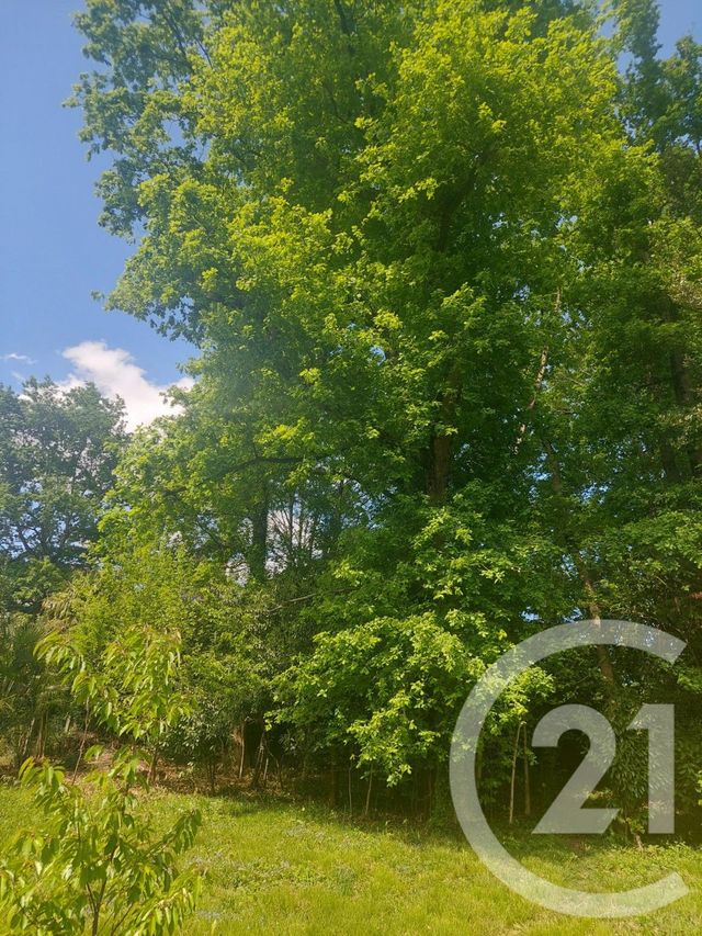 Maison à vendre - 10 pièces - 280 m2 - Billere - 64 - AQUITAINE