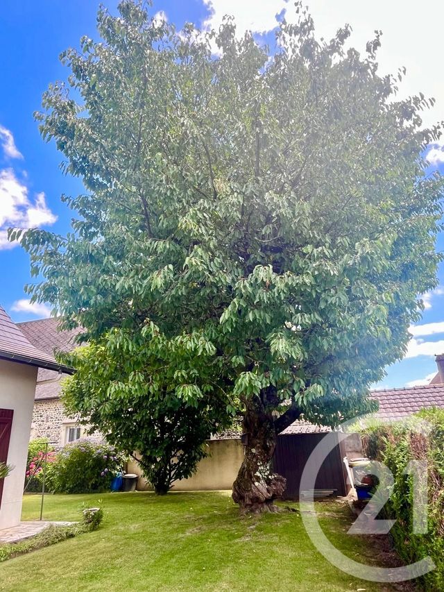 Maison &agrave; vendre - 6 pi&egrave;ces - 133,53 m2 - Lons - 64 - AQUITAINE