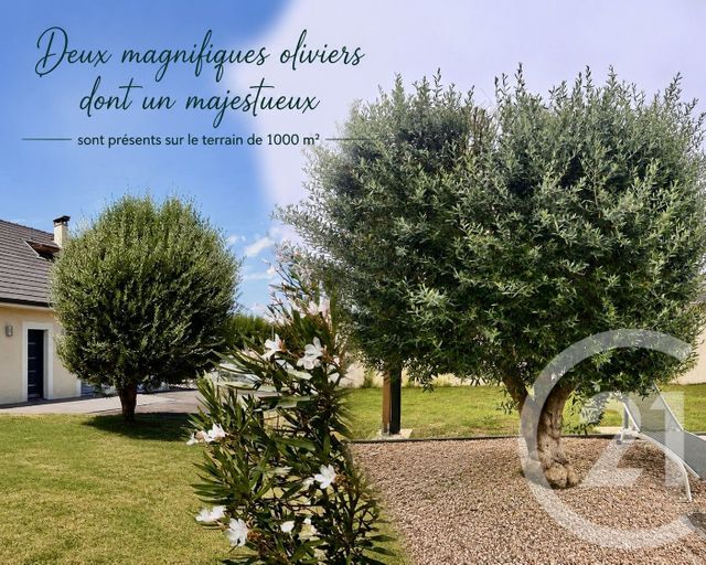 Maison &agrave; vendre - 6 pi&egrave;ces - 150 m2 - Bordes - 64 - AQUITAINE