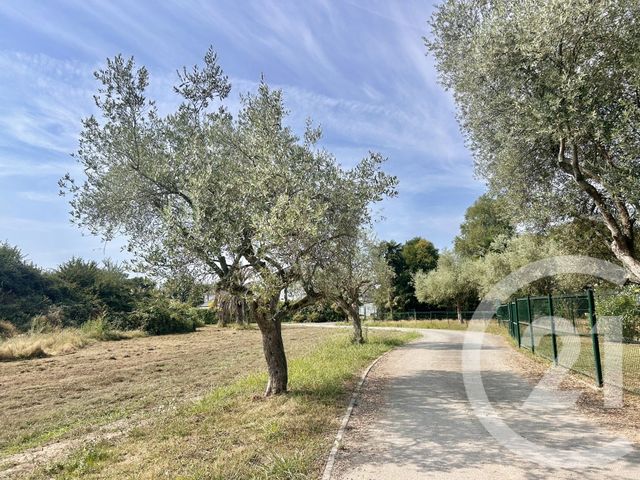 Terrain &agrave; vendre - 1197 m2 - Idron - 64 - AQUITAINE