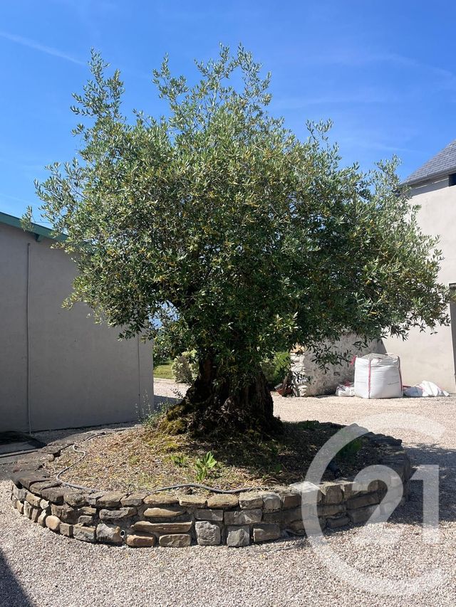 Maison &agrave; vendre - 9 pi&egrave;ces - 221,22 m2 - Benejacq - 64 - AQUITAINE