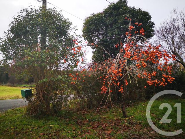 Maison &agrave; vendre - 2 pi&egrave;ces - 200 m2 - Aillas - 33 - AQUITAINE