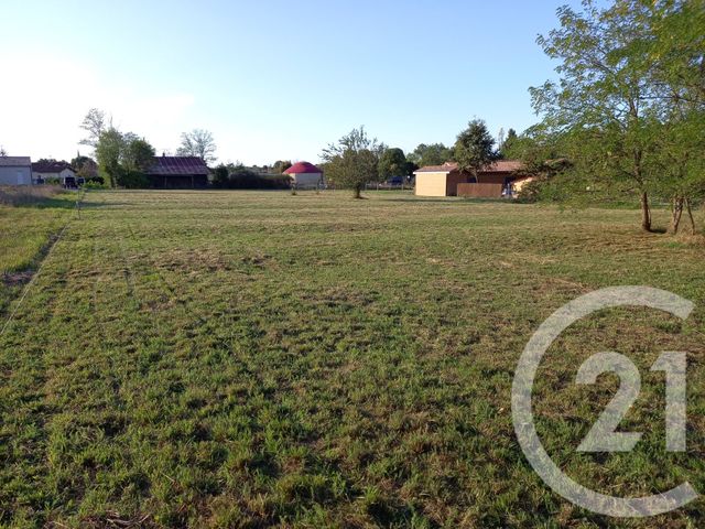 terrain - GRIGNOLS - 33