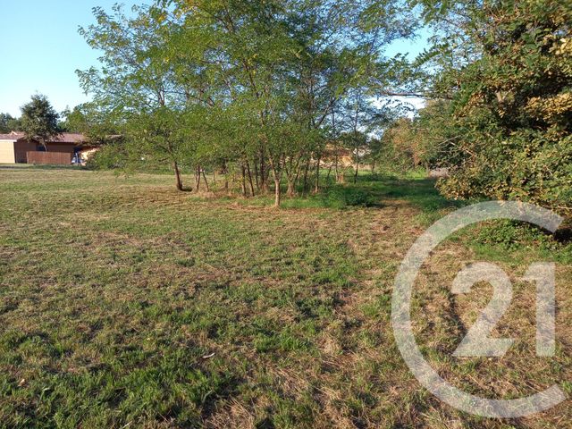 Terrain &agrave; vendre - 3682 m2 - Grignols - 33 - AQUITAINE