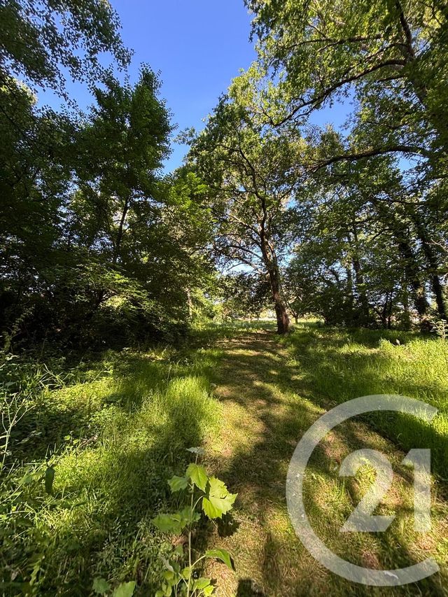Maison &agrave; vendre - 5 pi&egrave;ces - 137 m2 - Barsac - 33 - AQUITAINE