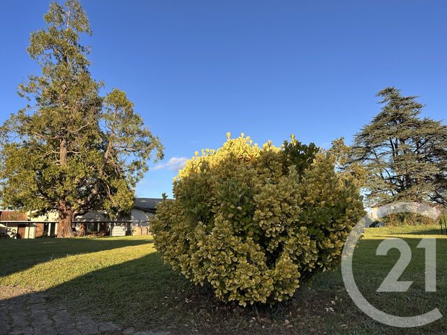 Maison à vendre - 4 pièces - 105 m2 - Gaillac - 81 - MIDI-PYRENEES