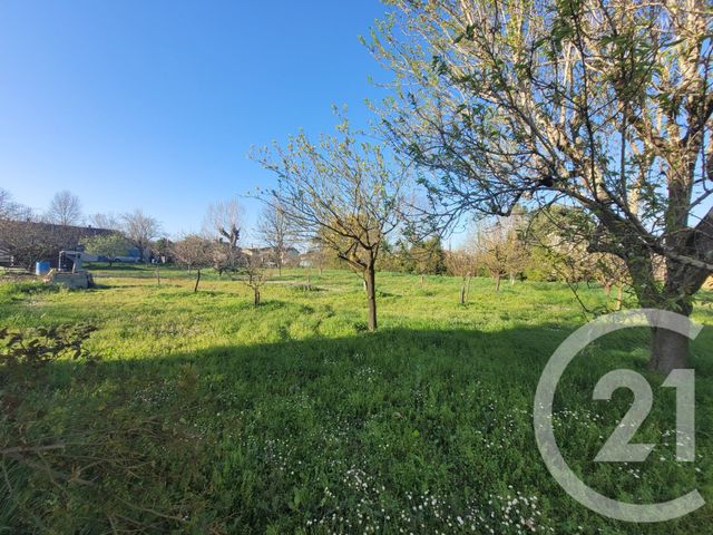 Terrain &agrave; vendre - 1598 m2 - Gaillac - 81 - MIDI-PYRENEES