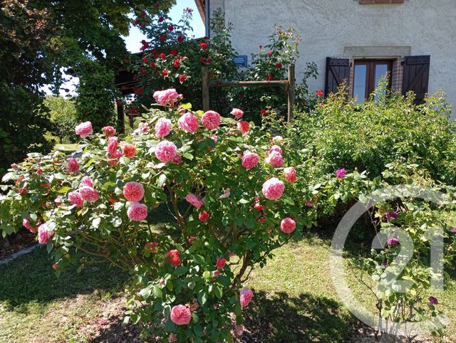 Maison à vendre - 8 pièces - 178,43 m2 - Montgaillard - 81 - MIDI-PYRENEES