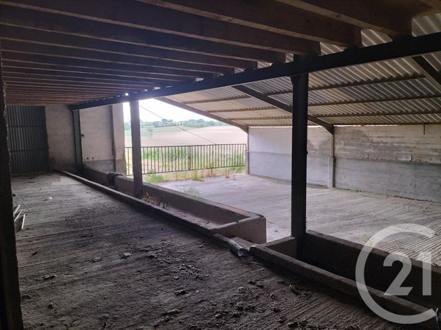 Maison à vendre - 4 pièces - 691 m2 - Fenols - 81 - MIDI-PYRENEES