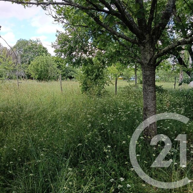 Maison &agrave; vendre - 5 pi&egrave;ces - 204,72 m2 - Giroussens - 81 - MIDI-PYRENEES