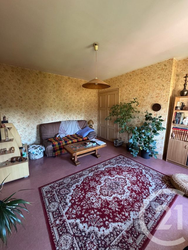 appartement - GAILLAC - 81