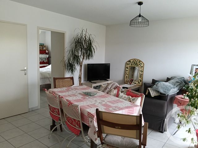 appartement - GAILLAC - 81