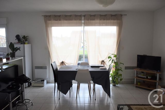 appartement - GAILLAC - 81