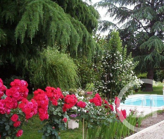 Maison &agrave; vendre - 7 pi&egrave;ces - 170,51 m2 - Montans - 81 - MIDI-PYRENEES