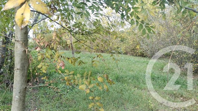 Terrain &agrave; vendre - 1000 m2 - Fayssac - 81 - MIDI-PYRENEES
