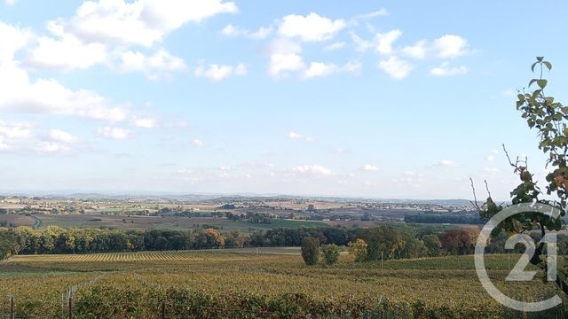 Terrain &agrave; vendre - 1000 m2 - Fayssac - 81 - MIDI-PYRENEES