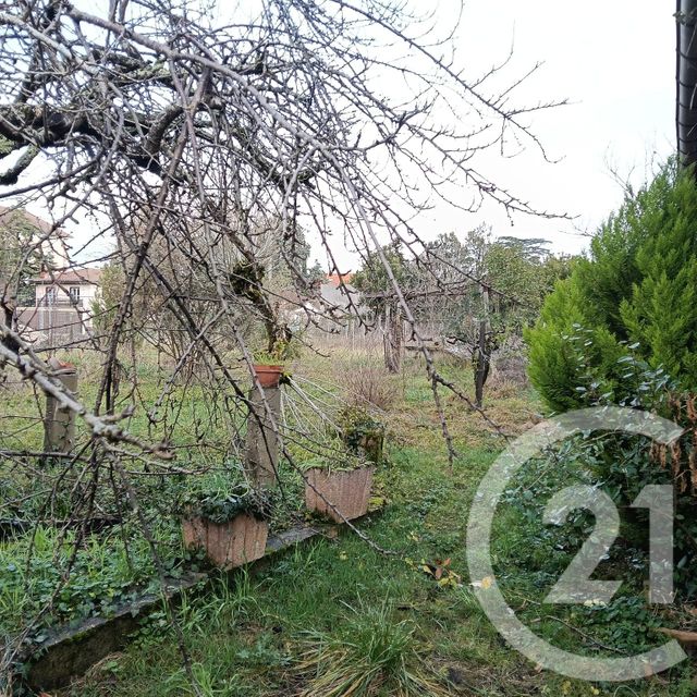 terrain - GAILLAC - 81