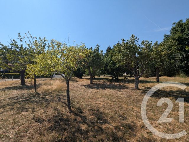 Terrain &agrave; vendre - 700 m2 - Gaillac - 81 - MIDI-PYRENEES