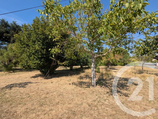 Terrain &agrave; vendre - 700 m2 - Gaillac - 81 - MIDI-PYRENEES